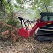 Red forestry drum mulcher on a Takeuchi track loader, cutting through brush and leaving mulched debris