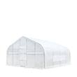 White 20x20 tunnel greenhouse, peak roof, end door and roll-up side vent window