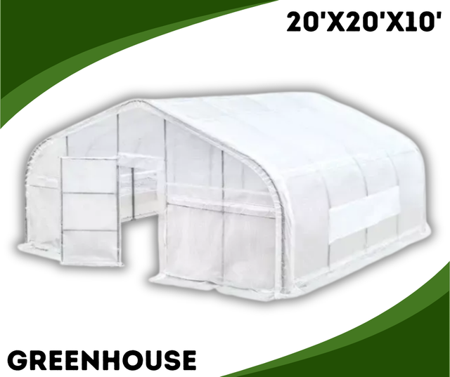 20x20x10 greenhouse graphic, white tunnel greenhouse with open walk-through door