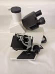 White trinocular microscope with black binocular head, camera port, mechanical stage and focus knob