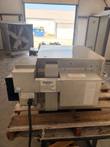 Rear of Lincoln Impinger 1301 conveyor pizza oven on a wooden pallet, with data plate and black power cord